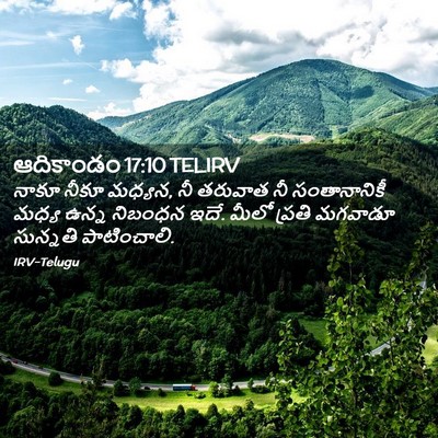 Picture 02 - ఆదికాండం 17:10 TELIRV - నాకూ నీకూ మధ్యన, నీ - Bible Verse Picture
