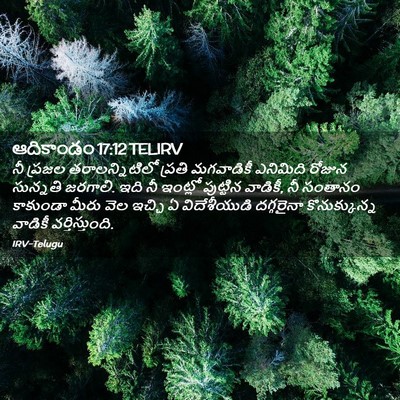 Picture 02 - ఆదికాండం 17:12 TELIRV - నీ ప్రజల - Bible Verse Picture