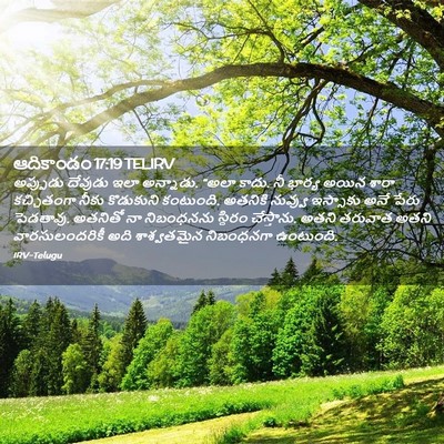 Picture 02 - ఆదికాండం 17:19 TELIRV - అప్పుడు దేవుడు - Bible Verse Picture