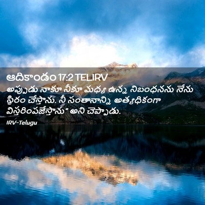 Picture 02 - ఆదికాండం 17:2 TELIRV - అప్పుడు నాకూ నీకూ - Bible Verse Picture