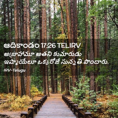 Picture 02 - ఆదికాండం 17:26 TELIRV - అబ్రాహామూ అతని - Bible Verse Picture