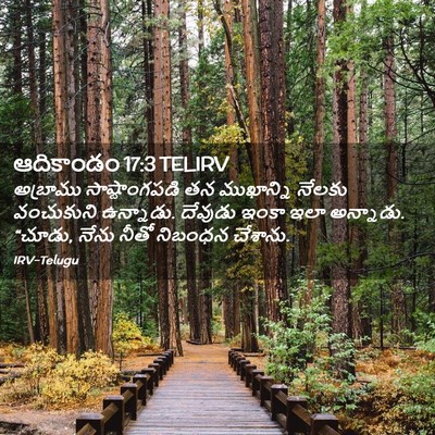Picture 02 - ఆదికాండం 17:3 TELIRV - అబ్రాము - Bible Verse Picture