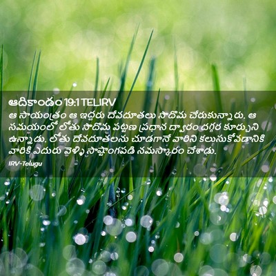 Picture 02 - ఆదికాండం 19:1 TELIRV - ఆ సాయంత్రం ఆ - Bible Verse Picture