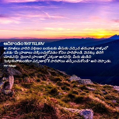 Picture 02 - ఆదికాండం 19:17 TELIRV - ఆ దూతలు వారిని - Bible Verse Picture