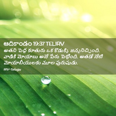 Picture 02 - ఆదికాండం 19:37 TELIRV - అతని పెద్ద కూతురు - Bible Verse Picture