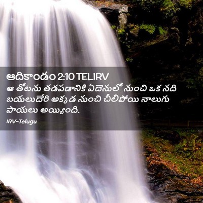 Picture 02 - ఆదికాండం 2:10 TELIRV - ఆ తోటను తడపడానికి - Bible Verse Picture