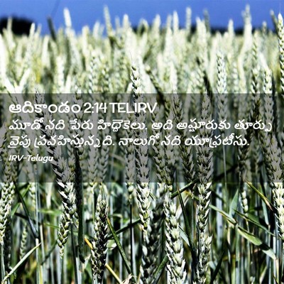 Picture 02 - ఆదికాండం 2:14 TELIRV - మూడో నది పేరు - Bible Verse Picture