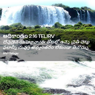 Picture 02 - ఆదికాండం 2:16 TELIRV - దేవుడైన యెహోవా “ఈ - Bible Verse Picture