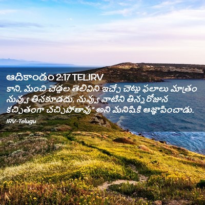 Picture 02 - ఆదికాండం 2:17 TELIRV - కాని, మంచి చెడ్డల - Bible Verse Picture