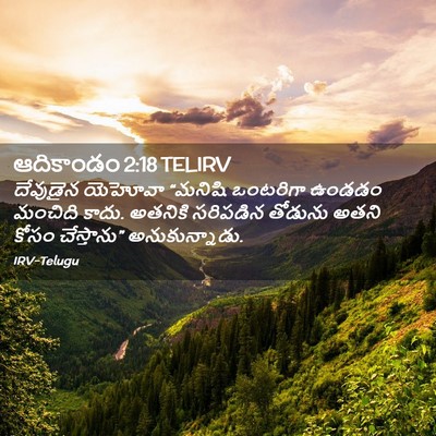 Picture 02 - ఆదికాండం 2:18 TELIRV - దేవుడైన యెహోవా - Bible Verse Picture