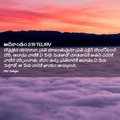 Picture 02 - ఆదికాండం 2:19 TELIRV - దేవుడైన యెహోవా, - Bible Verse Picture