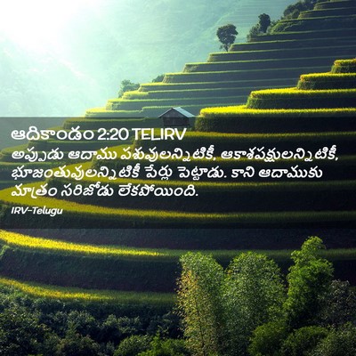 Picture 02 - ఆదికాండం 2:20 TELIRV - అప్పుడు ఆదాము - Bible Verse Picture