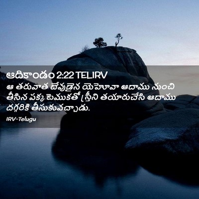 Picture 02 - ఆదికాండం 2:22 TELIRV - ఆ తరువాత దేవుడైన - Bible Verse Picture