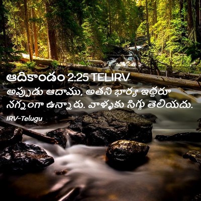 Picture 02 - ఆదికాండం 2:25 TELIRV - అప్పుడు ఆదాము, - Bible Verse Picture