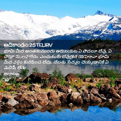 Picture 02 - ఆదికాండం 2:5 TELIRV - భూమి మీద - Bible Verse Picture