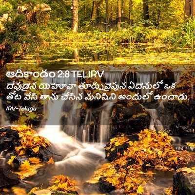 Picture 02 - ఆదికాండం 2:8 TELIRV - దేవుడైన యెహోవా - Bible Verse Picture