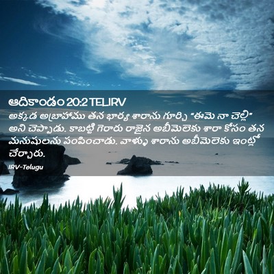 Picture 02 - ఆదికాండం 20:2 TELIRV - అక్కడ అబ్రాహాము - Bible Verse Picture