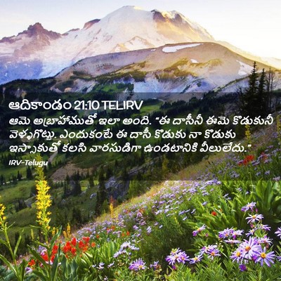 Picture 02 - ఆదికాండం 21:10 TELIRV - ఆమె అబ్రాహాముతో - Bible Verse Picture