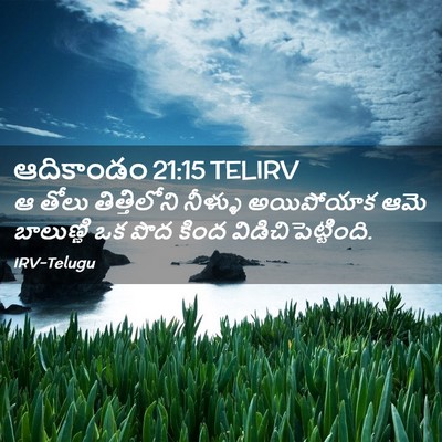 Picture 02 - ఆదికాండం 21:15 TELIRV - ఆ తోలు తిత్తిలోని - Bible Verse Picture