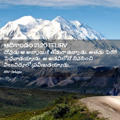 Picture 02 - ఆదికాండం 21:20 TELIRV - దేవుడు ఆ - Bible Verse Picture