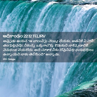 Picture 02 - ఆదికాండం 22:12 TELIRV - అప్పుడు ఆయన “ఆ - Bible Verse Picture