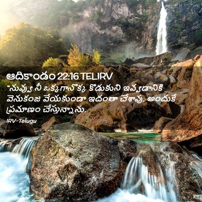 Picture 02 - ఆదికాండం 22:16 TELIRV - “నువ్వు నీ - Bible Verse Picture