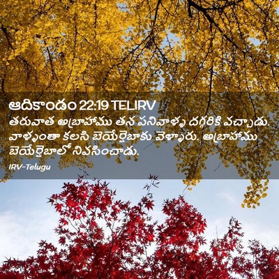 Picture 02 - ఆదికాండం 22:19 TELIRV - తరువాత అబ్రాహాము - Bible Verse Picture