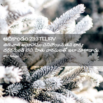 Picture 02 - ఆదికాండం 23:3 TELIRV - తరువాత అబ్రాహాము - Bible Verse Picture