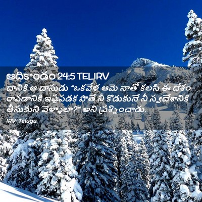 Picture 02 - ఆదికాండం 24:5 TELIRV - దానికి ఆ దాసుడు - Bible Verse Picture