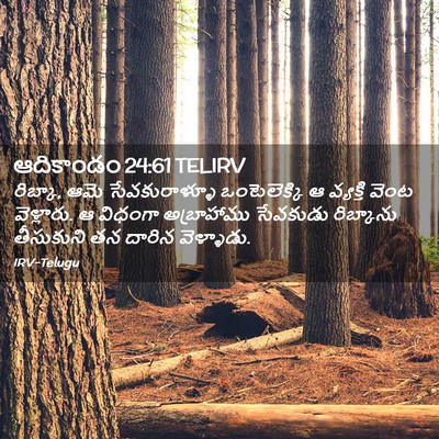 Picture 02 - ఆదికాండం 24:61 TELIRV - రిబ్కా, ఆమె - Bible Verse Picture