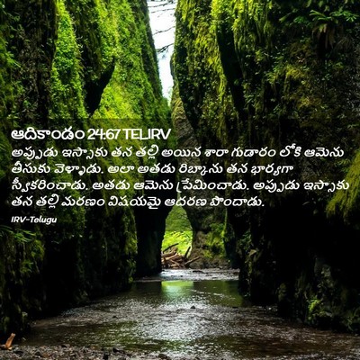 Picture 02 - ఆదికాండం 24:67 TELIRV - అప్పుడు ఇస్సాకు - Bible Verse Picture