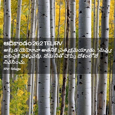 Picture 02 - ఆదికాండం 26:2 TELIRV - అక్కడ యెహోవా - Bible Verse Picture