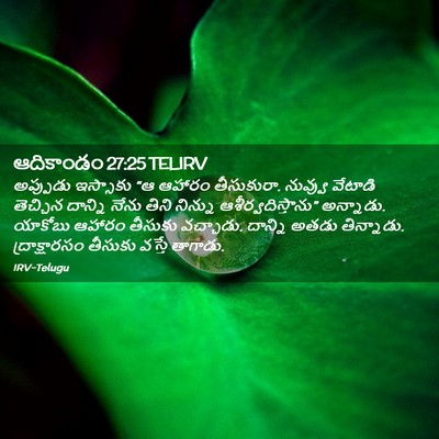 Picture 02 - ఆదికాండం 27:25 TELIRV - అప్పుడు ఇస్సాకు - Bible Verse Picture