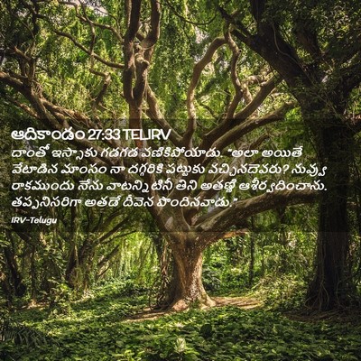 Picture 02 - ఆదికాండం 27:33 TELIRV - దాంతో ఇస్సాకు - Bible Verse Picture