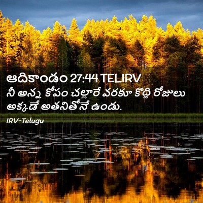 Picture 02 - ఆదికాండం 27:44 TELIRV - నీ అన్న కోపం - Bible Verse Picture