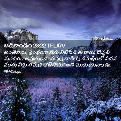 Picture 02 - ఆదికాండం 28:22 TELIRV - అంతేకాదు, - Bible Verse Picture