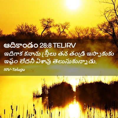 Picture 02 - ఆదికాండం 28:8 TELIRV - ఇదిగాక కనాను - Bible Verse Picture