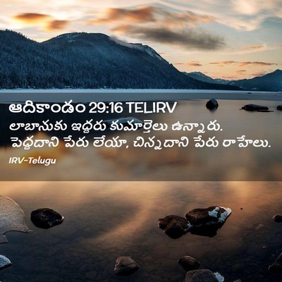 Picture 02 - ఆదికాండం 29:16 TELIRV - లాబానుకు ఇద్దరు - Bible Verse Picture