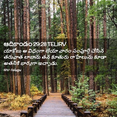 Picture 02 - ఆదికాండం 29:28 TELIRV - యాకోబు ఆ విధంగా - Bible Verse Picture