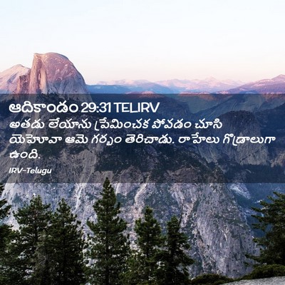 Picture 02 - ఆదికాండం 29:31 TELIRV - అతడు లేయాను - Bible Verse Picture