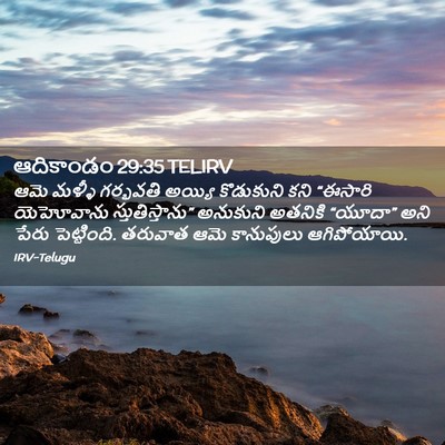 Picture 02 - ఆదికాండం 29:35 TELIRV - ఆమె మళ్ళీ గర్భవతి - Bible Verse Picture