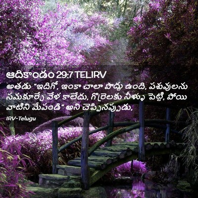 Picture 02 - ఆదికాండం 29:7 TELIRV - అతడు “ఇదిగో, ఇంకా - Bible Verse Picture