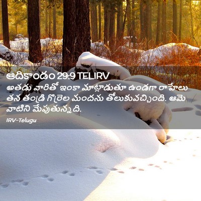Picture 02 - ఆదికాండం 29:9 TELIRV - అతడు వారితో ఇంకా - Bible Verse Picture