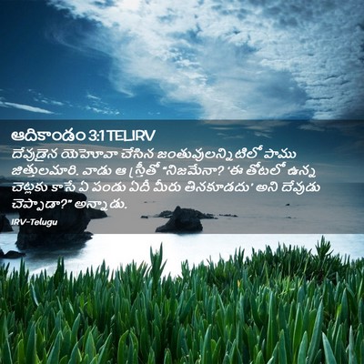 Picture 02 - ఆదికాండం 3:1 TELIRV - దేవుడైన యెహోవా - Bible Verse Picture