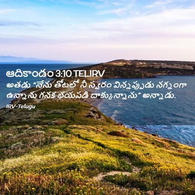Picture 02 - ఆదికాండం 3:10 TELIRV - అతడు “నేను తోటలో - Bible Verse Picture