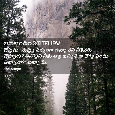 Picture 02 - ఆదికాండం 3:11 TELIRV - దేవుడు “నువ్వు - Bible Verse Picture
