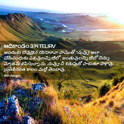 Picture 02 - ఆదికాండం 3:14 TELIRV - అందుకు దేవుడైన - Bible Verse Picture