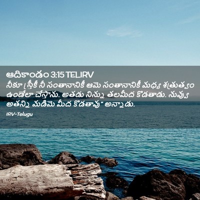 Picture 02 - ఆదికాండం 3:15 TELIRV - నీకూ స్త్రీకీ నీ - Bible Verse Picture