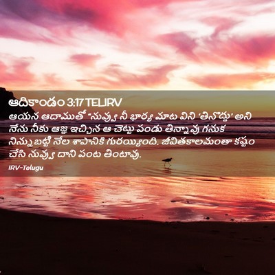 Picture 02 - ఆదికాండం 3:17 TELIRV - ఆయన ఆదాముతో - Bible Verse Picture