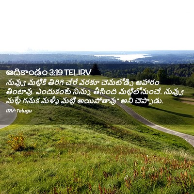 Picture 02 - ఆదికాండం 3:19 TELIRV - నువ్వు మట్టికి - Bible Verse Picture